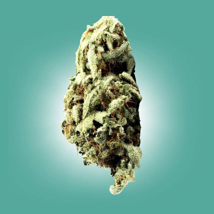 High Grade AAA+ Infused THCA + THCP Flower
