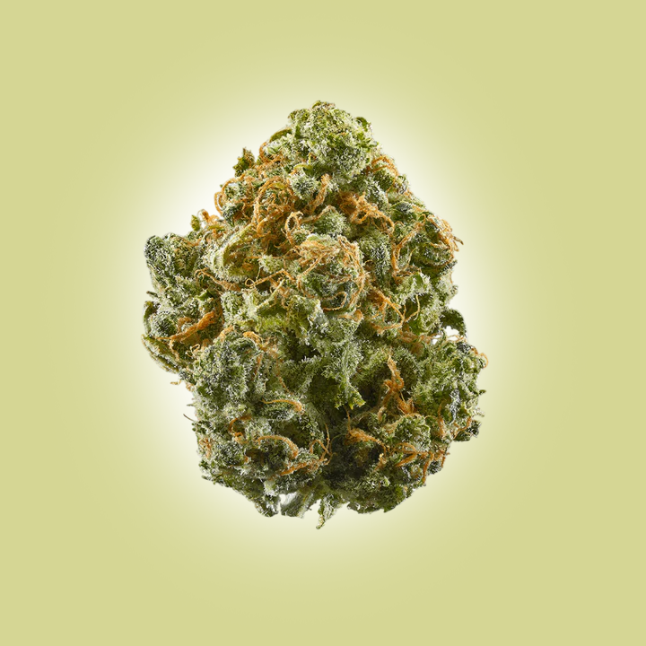 Top Shelf 1g Flower (20ct)