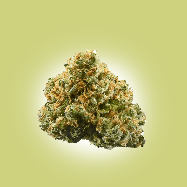 Kush Rx 33% THCA Greenhouse Flower