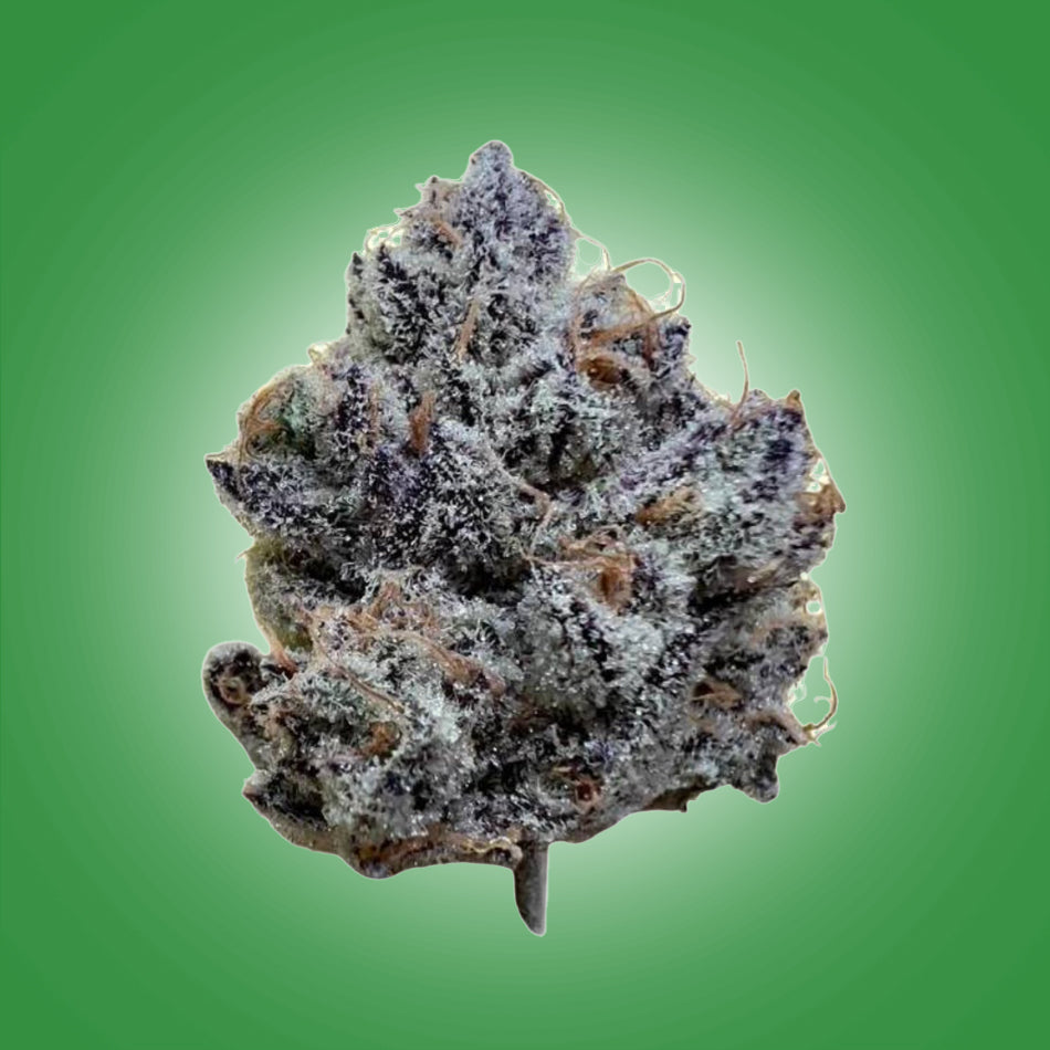 AAA Premium Exotic  Gelato