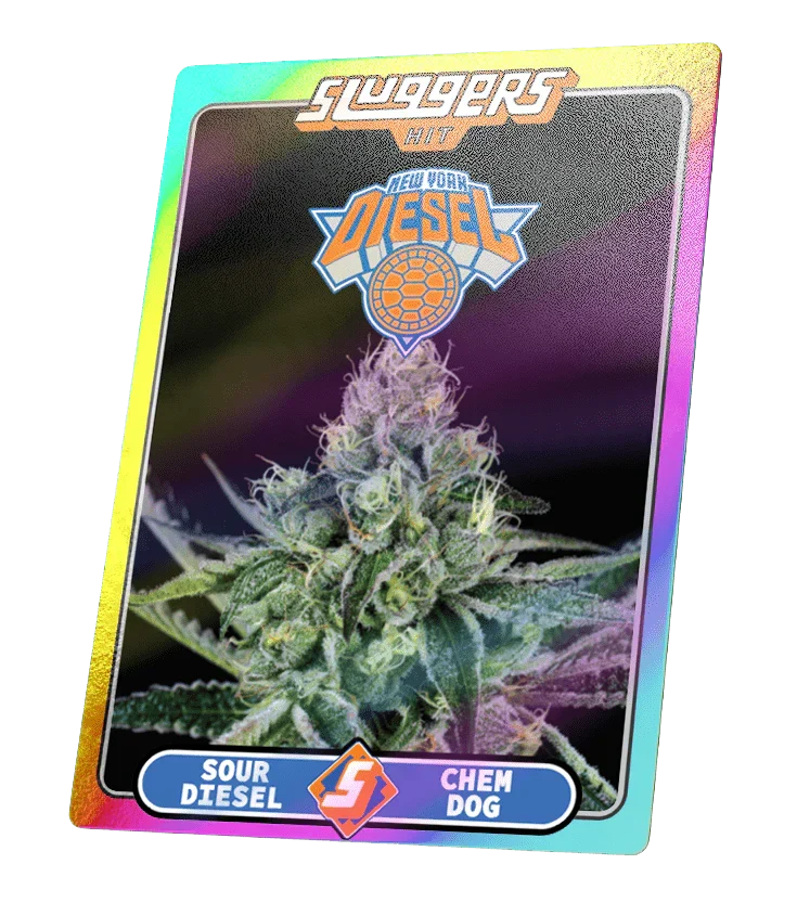 Juiced 5pk NYC Diesel Sativa